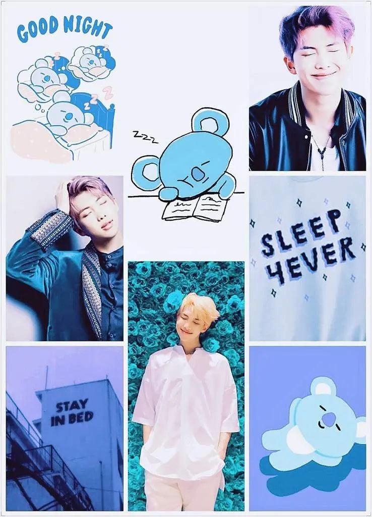 BT21 Koya Plush – 24 cm — image 2