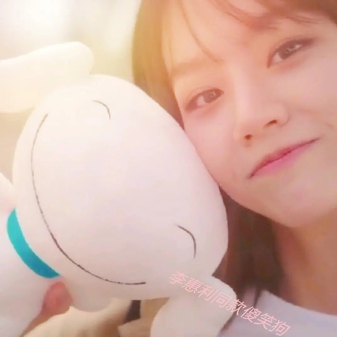 My Roommate Is a Gumiho Smile Plush – 27 cm — image 6
